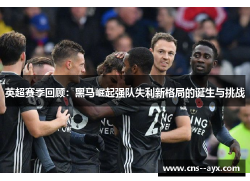 英超赛季回顾:黑马崛起强队失利新格局的诞生与挑战 英超赛季回顾:黑马崛起强队失利新格局的诞生与挑战