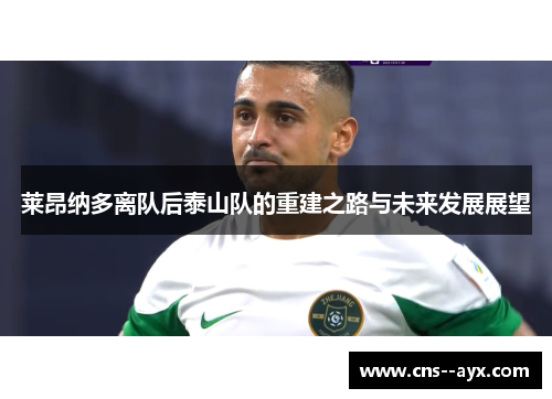 莱昂纳多离队后泰山队的重建之路与未来发展展望 莱昂纳多离队后泰山队的重建之路与未来发展展望