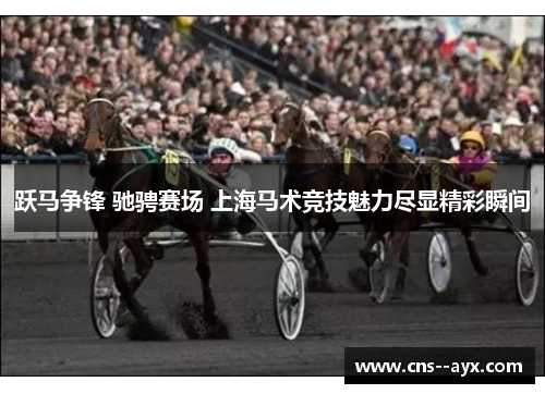 跃马争锋 驰骋赛场 上海马术竞技魅力尽显精彩瞬间